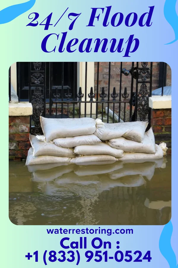 24/7 Flood Cleanup in Canyon, TX